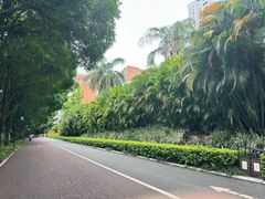 -南宁南湖公园