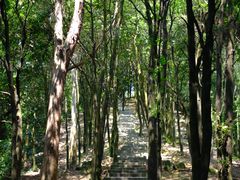 -火炉山森林公园