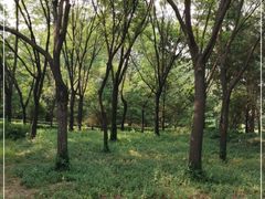 -森林公园(尖草坪区)