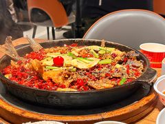 -老板恋上鱼(恒隆广场店)