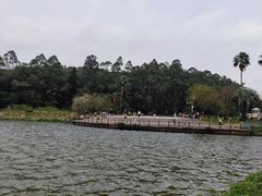 -南国桃园旅游度假区