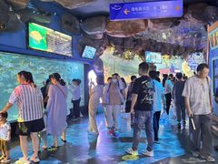 -烟台海昌鲸鲨海洋公园