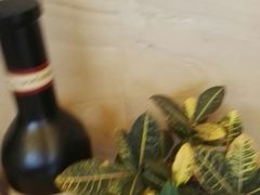 -新长岭大酒店酒楼
