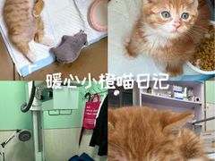 -天津前进宠物医院(前进道店)