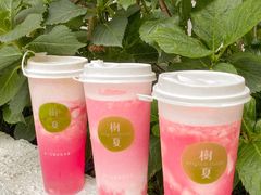 -树夏(建设路店)