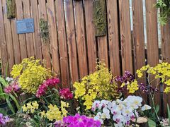 -国家植物园南园