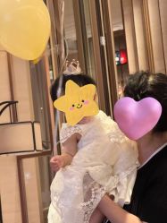 -觅糖派对·宝宝宴生日宴一站式派对策划(河西店)