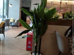 -必胜客(乐山世豪PH店)