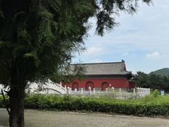 -明鲁王陵