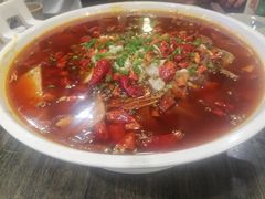 -庆合府重庆大排档(紫都城店)