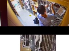 -谐和贝康宠物医院24小时·宠保定点(急重症转诊中心)