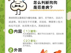 -康成宠物医院24H·CT·核磁共振