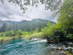 -九寨沟-树正沟