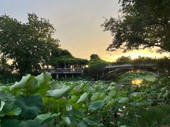 -玄武湖景区-情侣园游乐场