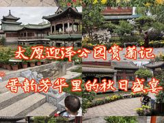 -迎泽公园