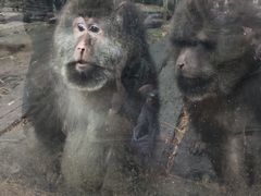 -贵州森林野生动物园
