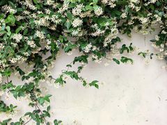 -悦哉·派对·草坪婚礼·围炉煮茶(三圣乡店)