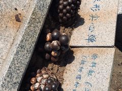 -胡里山炮台