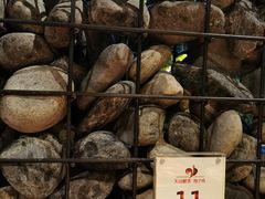 -天山醉美辣子鸡(文艺路店)