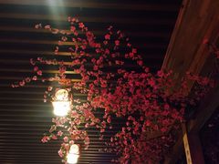 -青藤汗蒸时代会所