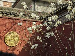 -西安市广仁寺