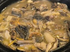 -草墩罗非鱼庄•野生菌•腊排骨(七星街上段店)