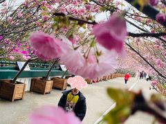 -观澜湖生态运动公社