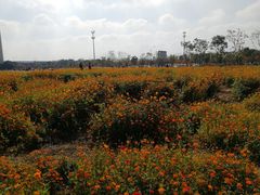 -映月湖中央公园