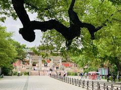 -北陵公园