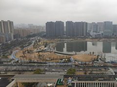 -金沙湖公园