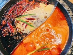 微辣锅底-纸盐河码头火锅(十八梯店)