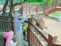 -日照海滨国家森林公园