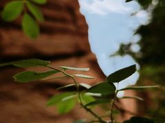 -天山神秘大峡谷