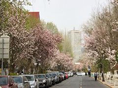 -天津五大道文化旅游区