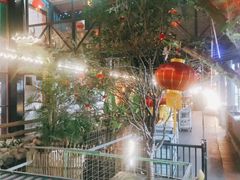 -鹅城