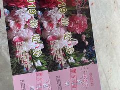 -南汇桃花村