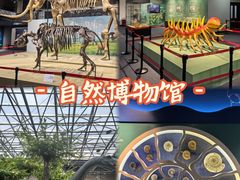 -国家自然博物馆
