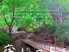 -云岫谷游猎自然风景区