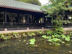 -桂湖森林公园