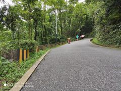 -广州市帽峰山景区