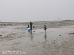 -南汇嘴观海公园