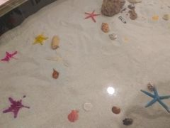 -南宫温泉水世界