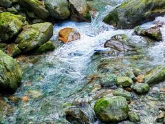 -西岭雪山大飞水景区