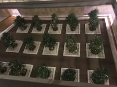 -南京禄口机场雅高铂尔曼大酒店