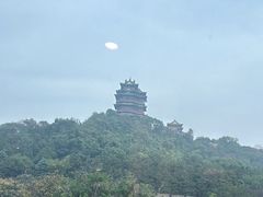 -七欣天香辣蟹火锅(南京建宁路大观天地店)