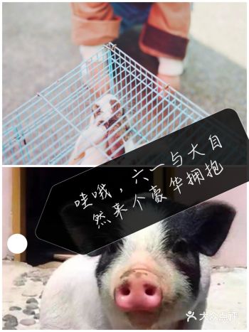 六一带着孩子到农场来一场寓教于乐叭