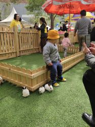 -萌宠亲子动物乐园(槐房万达店)