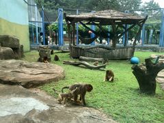 -大连森林动物园