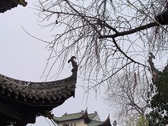 -长春观