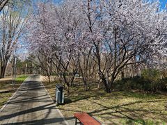 -元大都城垣遗址公园